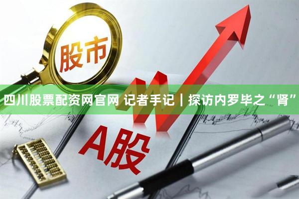 四川股票配资网官网 记者手记｜探访内罗毕之“肾”