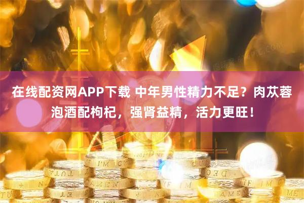 在线配资网APP下载 中年男性精力不足？肉苁蓉泡酒配枸杞，强肾益精，活力更旺！