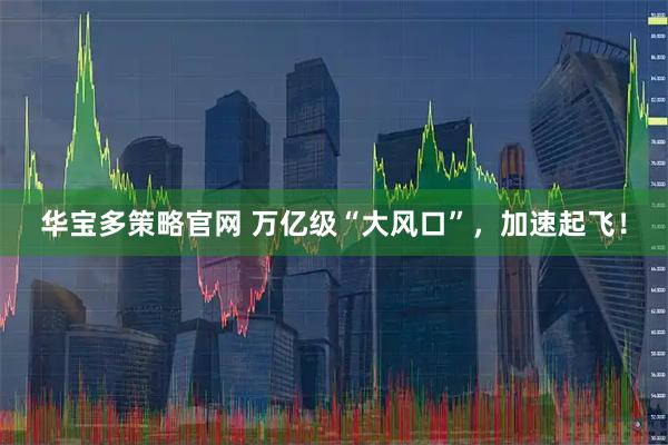 华宝多策略官网 万亿级“大风口”，加速起飞！