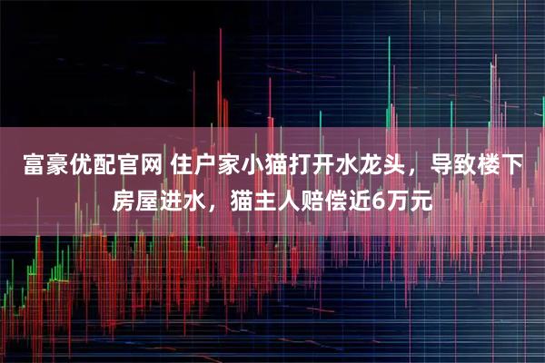 富豪优配官网 住户家小猫打开水龙头，导致楼下房屋进水，猫主人赔偿近6万元